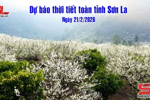 ' Dự báo thời tiết toàn tỉnh Sơn La ngày 21/2/2026