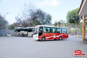 'Nhiều tuyến xe hoạt động trở lại phục vụ nhân dân đi lại trong dịp Tết