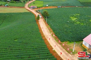 'Bình Thuận khát vọng xây dựng nông thôn mới