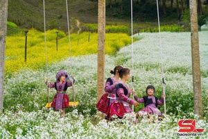Sơn La đón gần 300 nghìn lượt khách du lịch dịp Tết Nguyên đán Bính Ngọ 2026