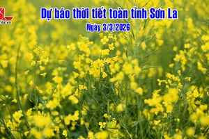 'Dự báo thời tiết toàn tỉnh Sơn La ngày 3/3/2026