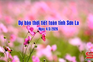 'Dự báo thời tiết toàn tỉnh Sơn La ngày 4/3/2026