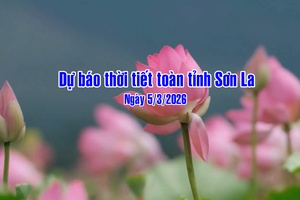 'Dự báo thời tiết toàn tỉnh Sơn La ngày 4/3/2026