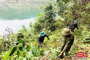 'Điều chỉnh địa điểm trồng rừng thay thế thuộc Dự án cao tốc Hòa Bình - Mộc Châu