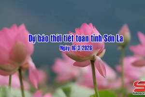 'Dự báo thời tiết toàn tỉnh Sơn La ngày 16/3/2026