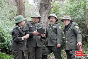 'Ứng dụng công nghệ số trong quản lý, bảo vệ rừng