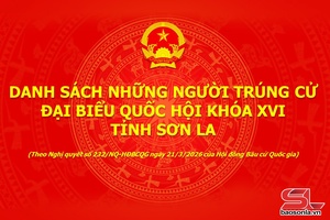 DANH SÁCH NGƯỜI TRÚNG CỬ ĐẠI BIỂU QUỐC HỘI KHÓA XVI, TỈNH SƠN LA