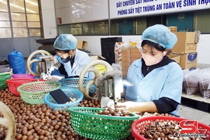 'Phát triển sản phẩm OCOP gắn với xây dựng nông thôn mới