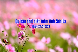 'Dự báo thời tiết toàn tỉnh Sơn La ngày 24/03/2026