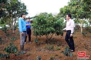 'Khơi nguồn lực - tiếp sức người nghèo vươn lên