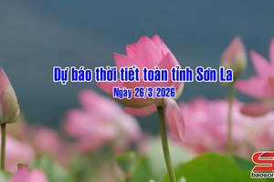 'Dự báo thời tiết toàn tỉnh Sơn La ngày 26/03/2026