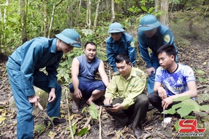 'Giữ rừng mùa hanh khô