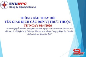 'Công ty Điện lực Sơn La đổi tên các đội quản lý điện lực khu vực từ ngày 01/4/2026