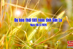 'Dự báo thời tiết toàn tỉnh Sơn La ngày 30/3/2026