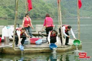 'Mường Cơi thả cá giống tái tạo nguồn lợi thủy sản