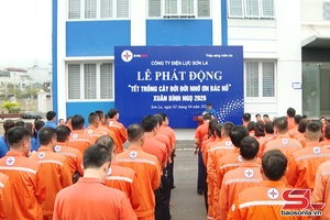 'Công ty Điện lực Sơn La phấn đấu trồng mới, chăm sóc 3.000 cây xanh