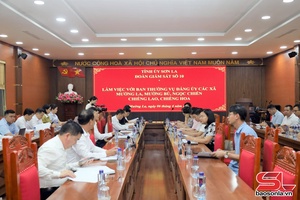 'Giám sát công tác lãnh đạo, chỉ đạo bầu cử tại các xã khu vực Mường La