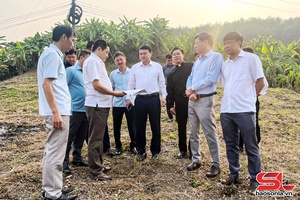 'Đồng chí Phó Chủ tịch UBND tỉnh kiểm tra giải quyết kiến nghị cấp đất tại giáo xứ Mường La