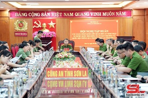 Tập huấn chuyên sâu các luật, pháp lệnh về an ninh, trật tự