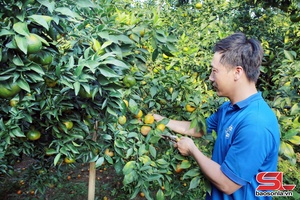 'Đoàn Kết khai thác hiệu quả tiềm năng, thế mạnh