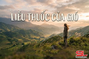 Truyện Podcast: Liều thuốc của gió