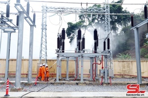 'Công ty Điện lực Sơn La diễn tập phòng chống thiên tai, ứng cứu khẩn cấp