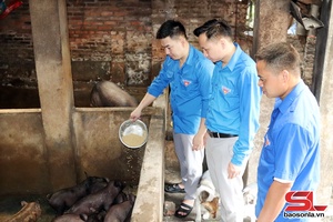 'Đồng vốn chính sách tiếp sức cho thanh niên phát triển kinh tế
