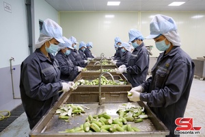 'Chuyển từ “quản lý” sang “phục vụ kiến tạo, phát triển”