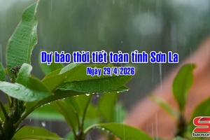 'Dự báo thời tiết toàn tỉnh Sơn La ngày 29/4/2026