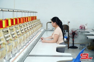 'Quan tâm tạo việc làm cho lao động nông thôn