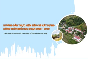 'Hướng dẫn thực hiện tiêu chí xây dựng nông thôn mới giai đoạn 2026 - 2030