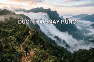 Dưới thác mây rừng