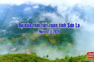 'Dự báo thời tiết toàn tỉnh Sơn La ngày 11/5/2026