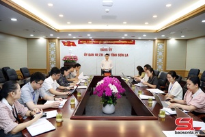 'Triển khai nhiệm vụ Tổng rà soát hệ thống văn bản quy phạm pháp luật của tỉnh