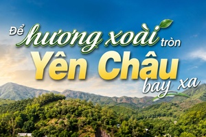 'Để hương xoài tròn Yên Châu bay xa