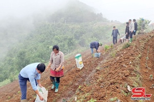 'Quyết tâm nâng cao tiêu chí thu nhập trong xây dựng nông thôn mới