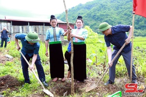 'Mường La tổ chức phát động Lễ trồng cây “Đời đời nhớ ơn Bác Hồ"