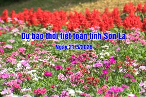 'Dự báo thời tiết toàn tỉnh Sơn La ngày 21/5/2026