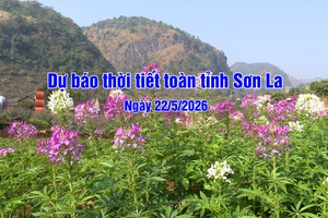 'Dự báo thời tiết toàn tỉnh Sơn La ngày 22/5/2026