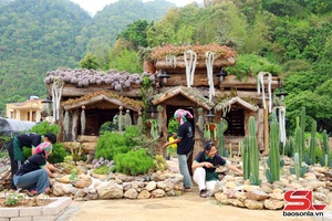 'Chợ Sen đá trên cao nguyên
