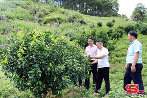 'Đưa nguồn vốn chính sách đến với nhân dân