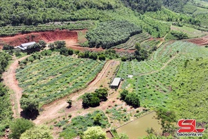'Phát huy hiệu quả mô hình HTX ở Xuân Nha