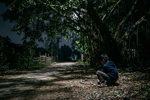 Dưới những tán cây