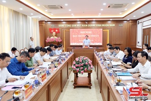 Ban Thường vụ Tỉnh ủy xem xét, quyết định một số nội dung theo thẩm quyền
