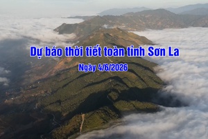 'Dự báo thời tiết toàn tỉnh Sơn La ngày 4/6/2026
