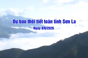'Dự báo thời tiết toàn tỉnh Sơn La ngày 08/6/2026