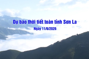 'Dự báo thời tiết toàn tỉnh Sơn La ngày 11/6/2026