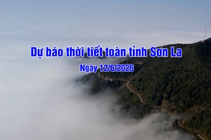 'Dự báo thời tiết toàn tỉnh Sơn La ngày 12/6/2026