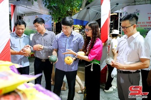 'Khai mạc Tuần lễ nông sản và thực phẩm an toàn tỉnh Sơn La tại Hải Phòng năm 2026