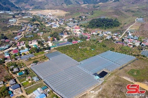 'Lóng Phiêng phát huy hiệu quả kinh tế tập thể